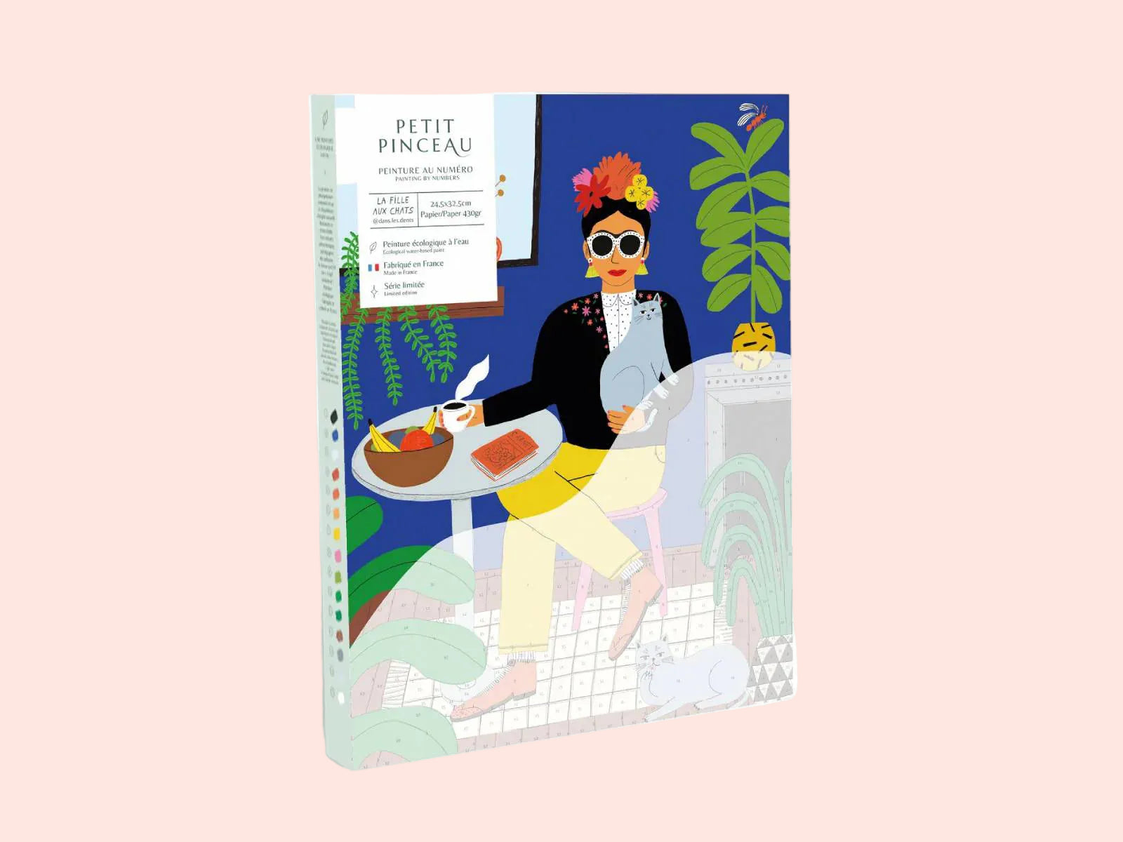 Coffret peinture au numéro - La fille aux chats par Guillaume Denaudhome