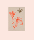 Togethery - Carte postale Colibri sur papier écologique
