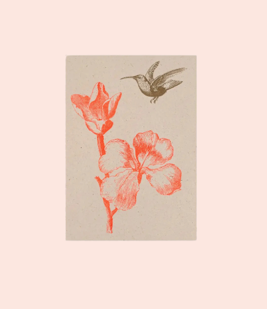 Togethery - Carte postale Colibri sur papier écologique