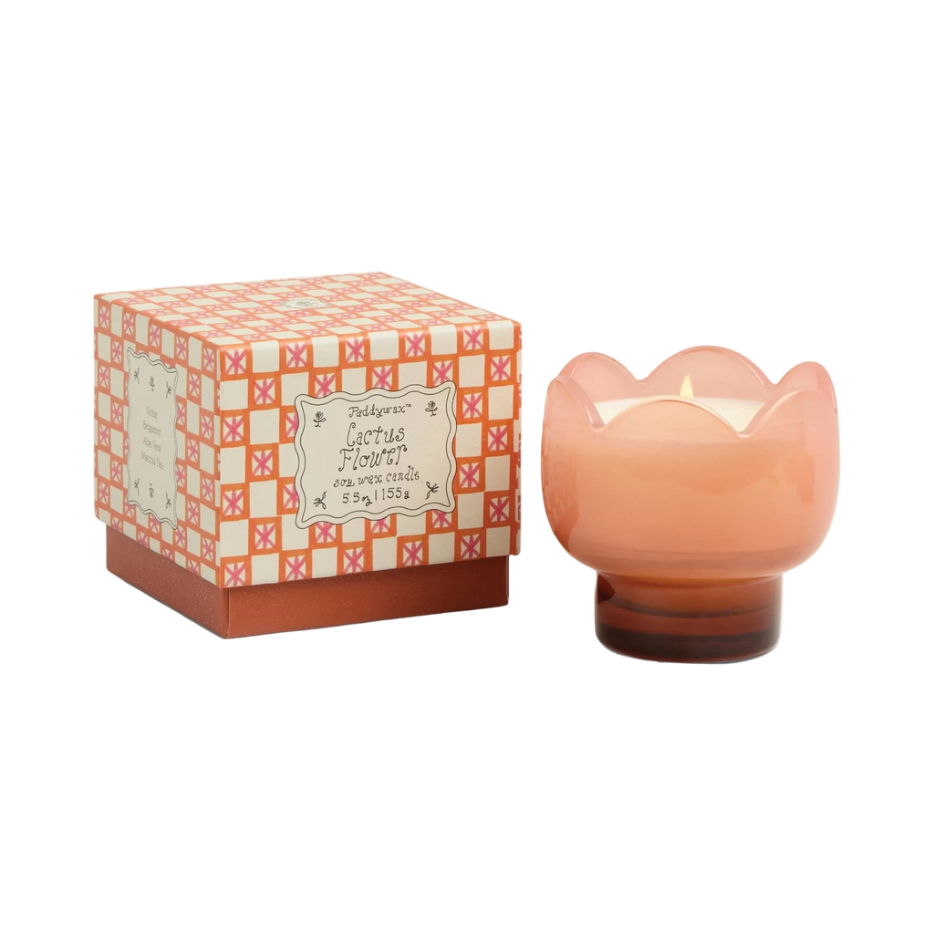Bougie Fleur de cactus - Tulipe PADDYWAX
