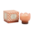 Bougie Fleur de cactus - Tulipe PADDYWAX