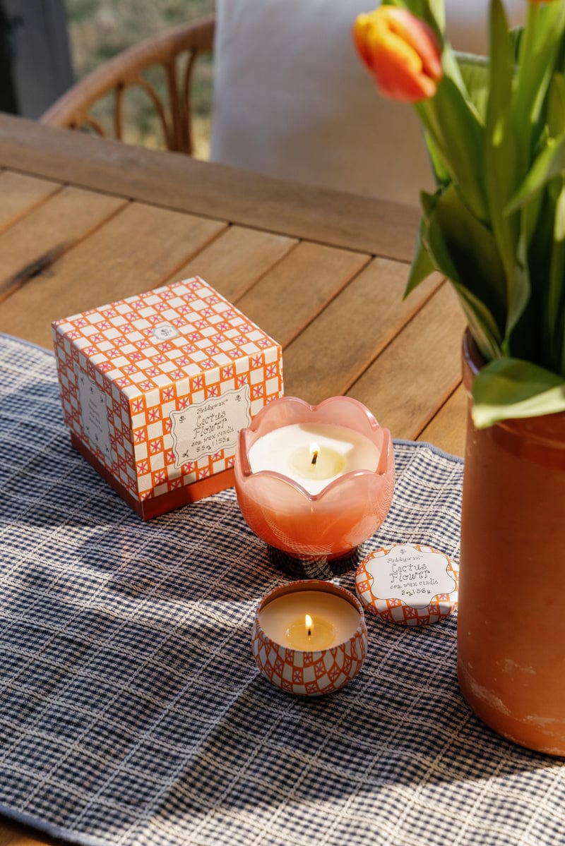 Bougie Fleur de cactus - Tulipe PADDYWAX