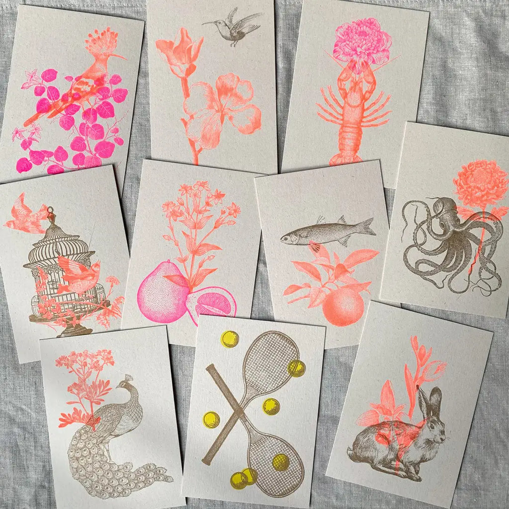 Togethery - Carte postale Colibri sur papier écologique